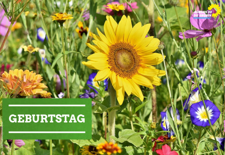 Geburtstag