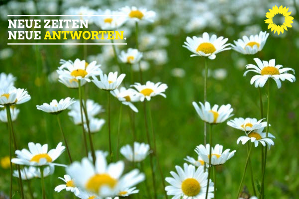 Antrag Animal Aided Design für Grünflächen