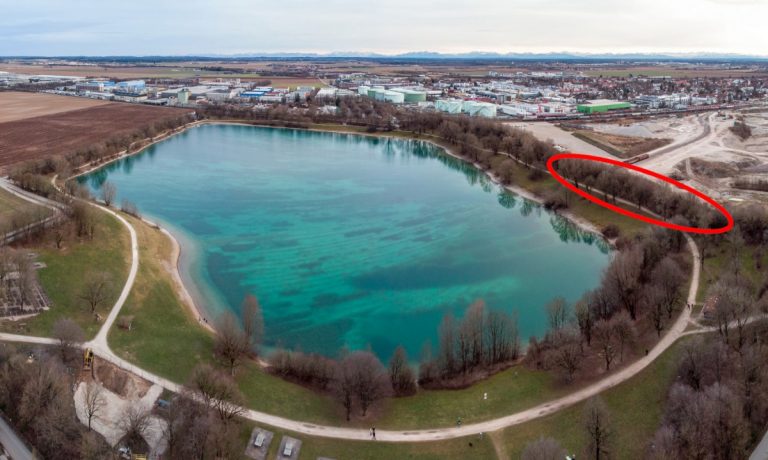 Dafür fallen 16 Bäume: besserer Seeblick