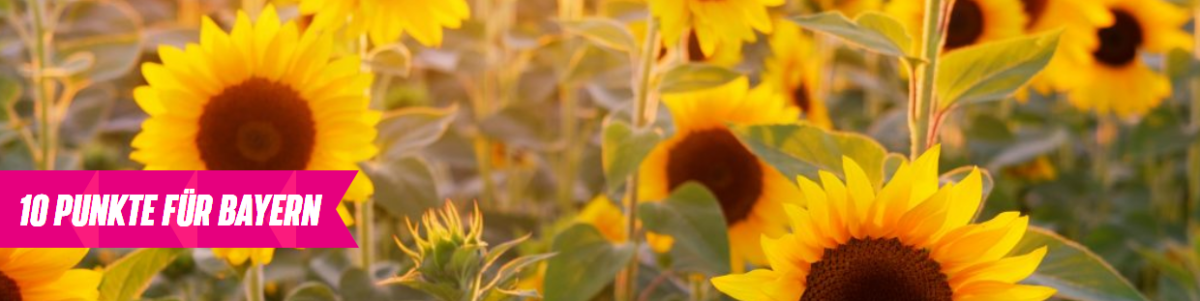 Zehn Punkte für Bayern